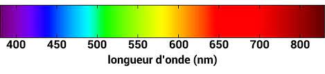 nature-equilibre-yvonand-therapie-par-la-couleur